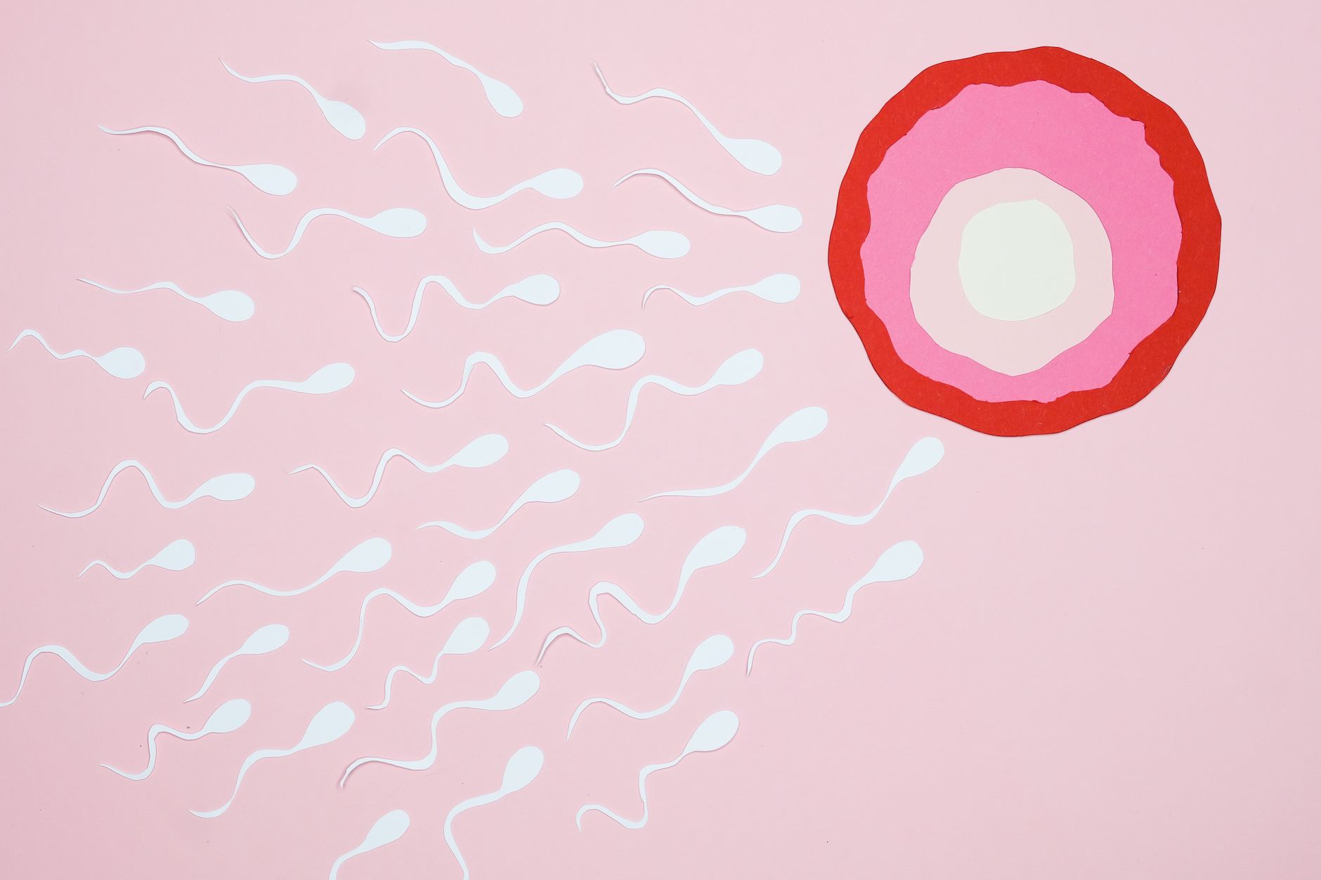 sperm donor consent law